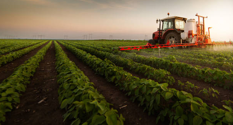 Agriculture Industry