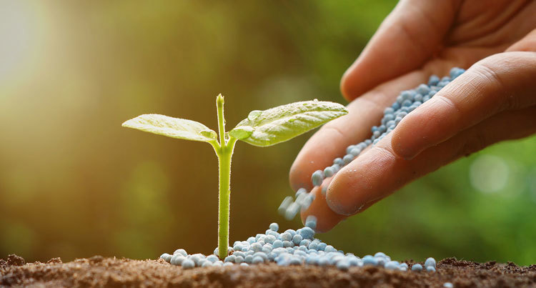 Fertilizers Industry